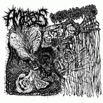 Amoebosis : Amoebosis - Cystoblastosis